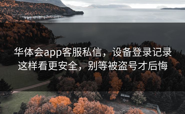 华体会app客服私信，设备登录记录这样看更安全，别等被盗号才后悔
