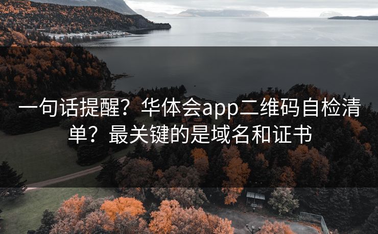 一句话提醒？华体会app二维码自检清单？最关键的是域名和证书