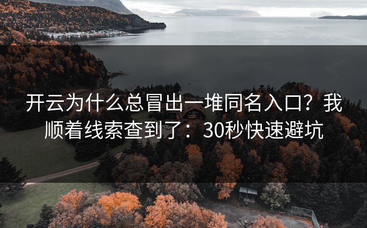 开云为什么总冒出一堆同名入口？我顺着线索查到了：30秒快速避坑